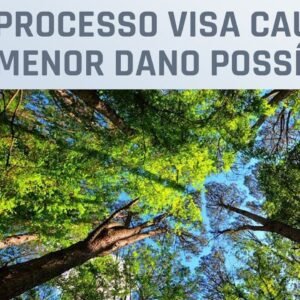 Saiba como é o manejo sustentável de florestas, alternativa para evitar devastação